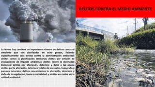 DELITOS CONTRA EL MEDIO AMBIENTE
La Nueva Ley contiene un importante número de delitos contra el
ambiente que son clasificados en ocho grupos, lidiando
específicamente con: delitos contra la administración ambiental;
delitos contra la planificación territorial; delitos por omisión de
evaluaciones de impacto ambiental; delitos contra la diversidad
biológica; delitos por alteración, deterioro y daño a las aguas;
delitos por la alteración, deterioro y daño de los suelos, topografía y
paisajes naturales; delitos concernientes la alteración, deterioro y
daño de la vegetación, fauna o su habitad; y delitos en contra de la
calidad ambiental.
 