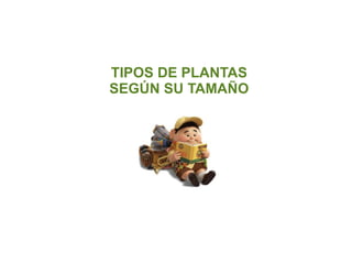 TIPOS DE PLANTAS SEGÚN SU TAMAÑO 