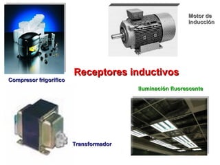 Compresor frigorífico Motor de  inducción Iluminación fluorescente Transformador Receptores inductivos 