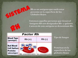Rh es un antígeno que suele estar
presente en la superficie de los
Glóbulos Rojos.
Entonces aquellas personas que tienen el
Antígeno Rh son designados Rh+ y quienes
Carecen de este antígeno se denominan Rh-.
Tipo de Sangre
Proteinas en la
superficie de los
glóbulos Rojos
 