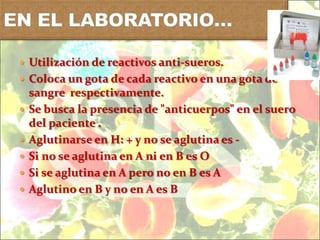  Utilización de reactivos anti-sueros.
 Coloca un gota de cada reactivo en una gota de
sangre respectivamente.
 Se busca la presencia de "anticuerpos" en el suero
del paciente .
 Aglutinarse en H: + y no se aglutina es -
 Si no se aglutina en A ni en B es O
 Si se aglutina en A pero no en B es A
 Aglutino en B y no en A es B
 