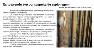 Autoridades do Egito prenderam uma ave migratória que um
cidadão suspeitava ser um espião.
Um homem da região de Qena, cerca de 459 km a sudeste de
Cairo, encontrou a ave junto com outras quatro próximo à sua casa e as
levou à delegacia na última sexta-feira (30).
No local, policiais e o homem observaram um mecanismo
eletrônico preso sobre a ave. No sábado (31), um veterinário foi chamado
porque os funcionários do governo acreditavam que o mecanismo era uma
bomba ou um objeto de espionagem.
No entanto, eles descobriram que o mecanismo era usado por
cientistas franceses para monitorar o movimento de aves migratórias.
Segundo Ayman Abdallah, responsável pelos serviços
veterinários de Qena, o mecanismo parou de funcionar quando a ave
atravessou a fronteira francesa.
Ainda no sábado, o jornal estatal Al-Ahram escreveu que o incidente
mostra o patriotismo do homem que capturou a ave.
O animal continua preso e espera permissão das autoridades
egípcias para ser libertada.
Egito prende ave por suspeita de espionagem
Do UOL, em São Paulo 02/09/2013 às 13h35
 