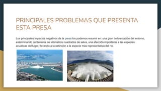PRINCIPALES PROBLEMAS QUE PRESENTA
ESTA PRESA
Los principales impactos negativos de la presa los podemos resumir en: una gran deforestación del entorno,
exterminando centenares de kilómetros cuadrados de selva, una afección importante a las especies
acuáticas del lugar, llevando a la extinción a la especie más representativa del río.
 