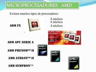 Existen muchos tipos de procesadores
                               8 núcleos
                               6 núcleos
 ADM FX                        4 núcleos




ADM Apu Serie A

AMD Phenom™ II

AMD Athlon™ II

AMD Sempron™
 
