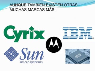 AUNQUE TAMBIÉN EXISTEN OTRAS
MUCHAS MARCAS MÁS.
 