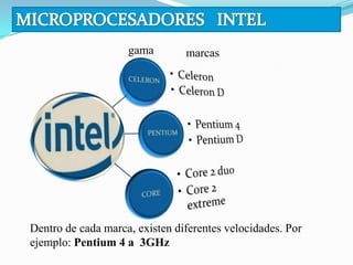 gama        marcas




Dentro de cada marca, existen diferentes velocidades. Por
ejemplo: Pentium 4 a 3GHz
 