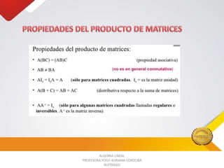 ALGEBRA LINEAL
PROFESORA:YOLVI ADRIANA CORDOBA
BUITRAGO

 