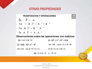 ALGEBRA LINEAL
PROFESORA:YOLVI ADRIANA CORDOBA
BUITRAGO

 
