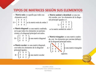 ALGEBRA LINEAL
PROFESORA:YOLVI ADRIANA CORDOBA
BUITRAGO

 