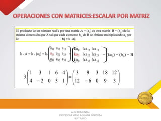 ALGEBRA LINEAL
PROFESORA:YOLVI ADRIANA CORDOBA
BUITRAGO

 