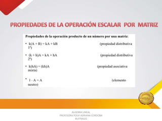 ALGEBRA LINEAL
PROFESORA:YOLVI ADRIANA CORDOBA
BUITRAGO

 