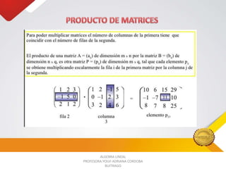 ALGEBRA LINEAL
PROFESORA:YOLVI ADRIANA CORDOBA
BUITRAGO

 