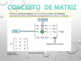 ALGEBRA LINEAL PROFESORA:YOLVI ADRIANA
CORDOBA BUITRAGO