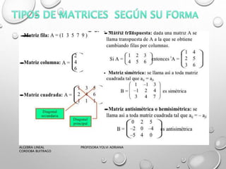 ALGEBRA LINEAL PROFESORA:YOLVI ADRIANA
CORDOBA BUITRAGO