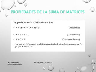 ALGEBRA LINEAL PROFESORA:YOLVI ADRIANA
CORDOBA BUITRAGO