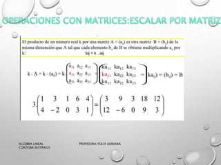 ALGEBRA LINEAL PROFESORA:YOLVI ADRIANA
CORDOBA BUITRAGO