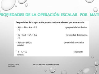 ALGEBRA LINEAL PROFESORA:YOLVI ADRIANA CORDOBA
BUITRAGO