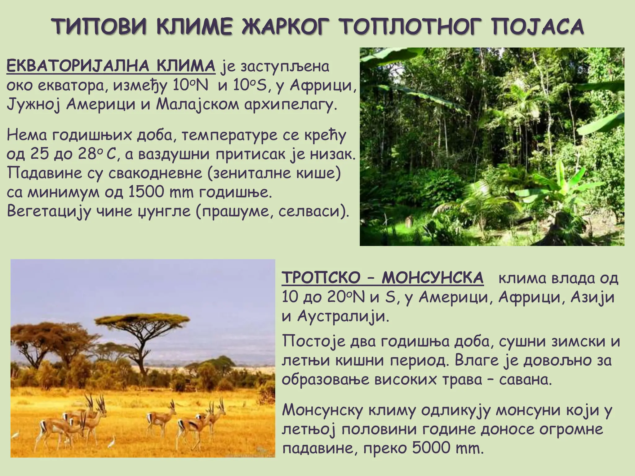 Tipovi Klima80335241