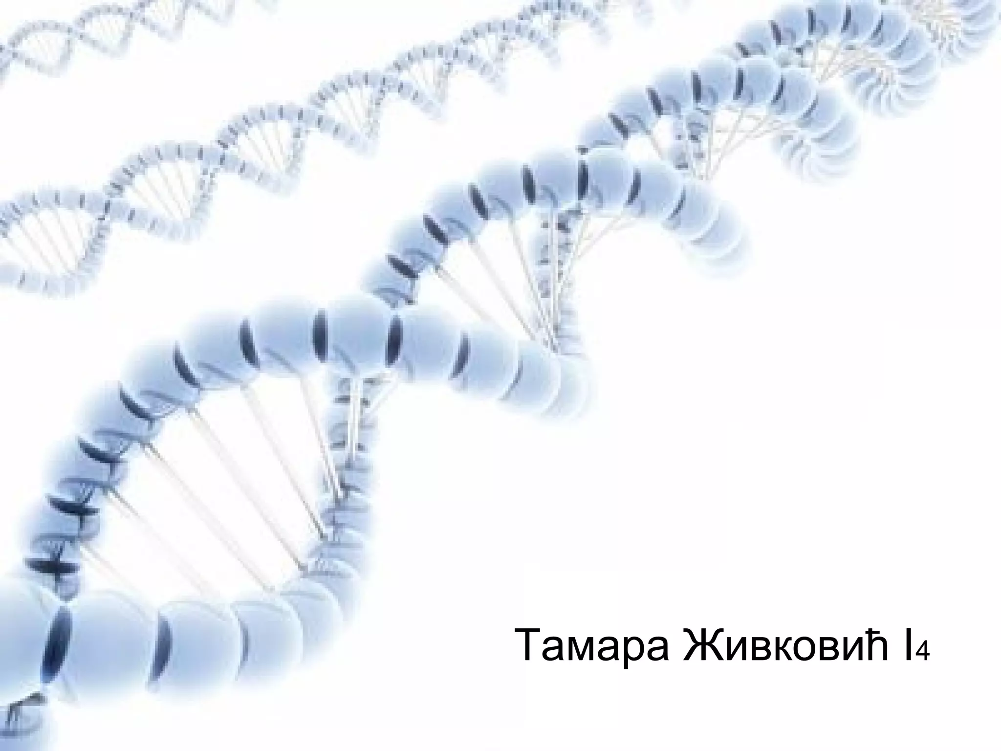 Тамара Живковић I4
 