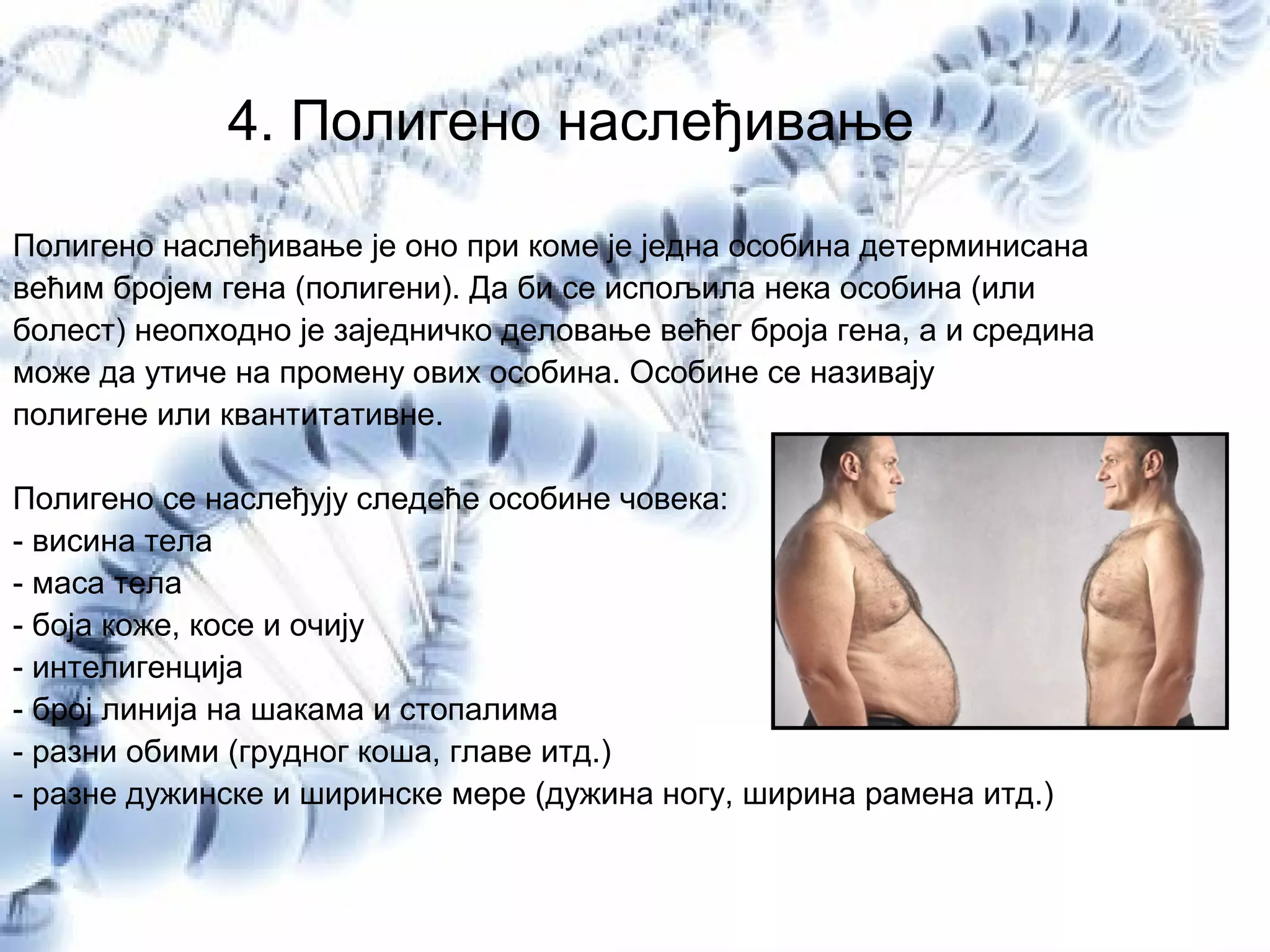 4. Полигено наслеђивање
Полигено наслеђивање је оно при коме је једна особина детерминисана
већим бројем гена (полигени). Да би се испољила нека особина (или
болест) неопходно је заједничко деловање већег броја гена, а и средина
може да утиче на промену ових особина. Особине се називају
полигене или квантитативне.
Полигено се наслеђују следеће особине човека:
- висина тела
- маса тела
- боја коже, косе и очију
- интелигенција
- број линија на шакама и стопалима
- разни обими (грудног коша, главе итд.)
- разне дужинске и ширинске мере (дужина ногу, ширина рамена итд.)
 