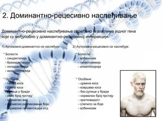 2. Доминантно-рецесивно наслеђивање
Доминантно-рецесивно наслеђивање одређено је алелима једног гена
који су међусобно у доминантно-рецесивној интеракцији.
1) Аутозомно-доминантно се наслеђује: 2) Аутозомно-рецесивно се наслеђује:
* Болести * Болести
- синдактилија - албинизам
- брахидактилија - галактоземија
- полидактилија - алкаптонурија
- ахондроплазија
* Особине * Особине
- тамна коса - црвена коса
- равна коса - коврџава коса
- рупица у бради - без рупице у бради
- већи број прстију - нормалан број прстију
- нормалан вид - кратковидост
- нормално разликовање боја - слепило за боје
- нормална пигментација итд. - албинизам
 