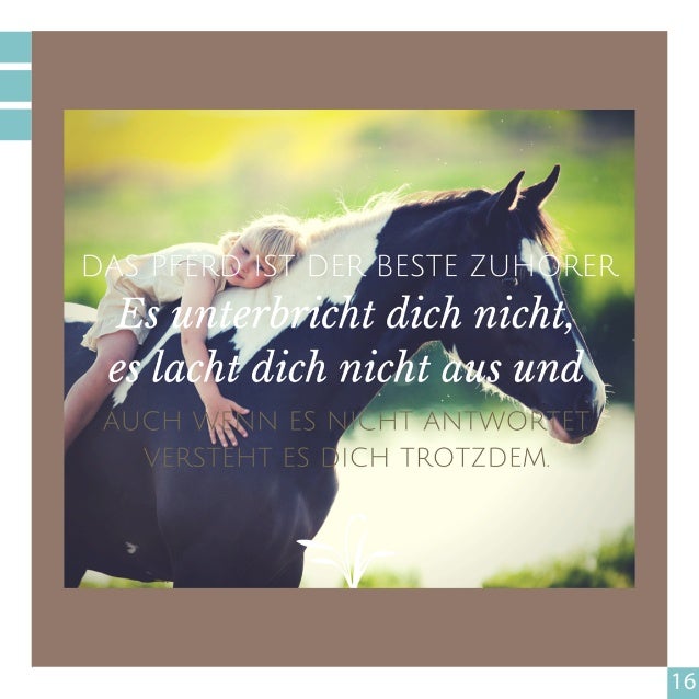 Spruche Kurz Pferde Spruche Weisheiten