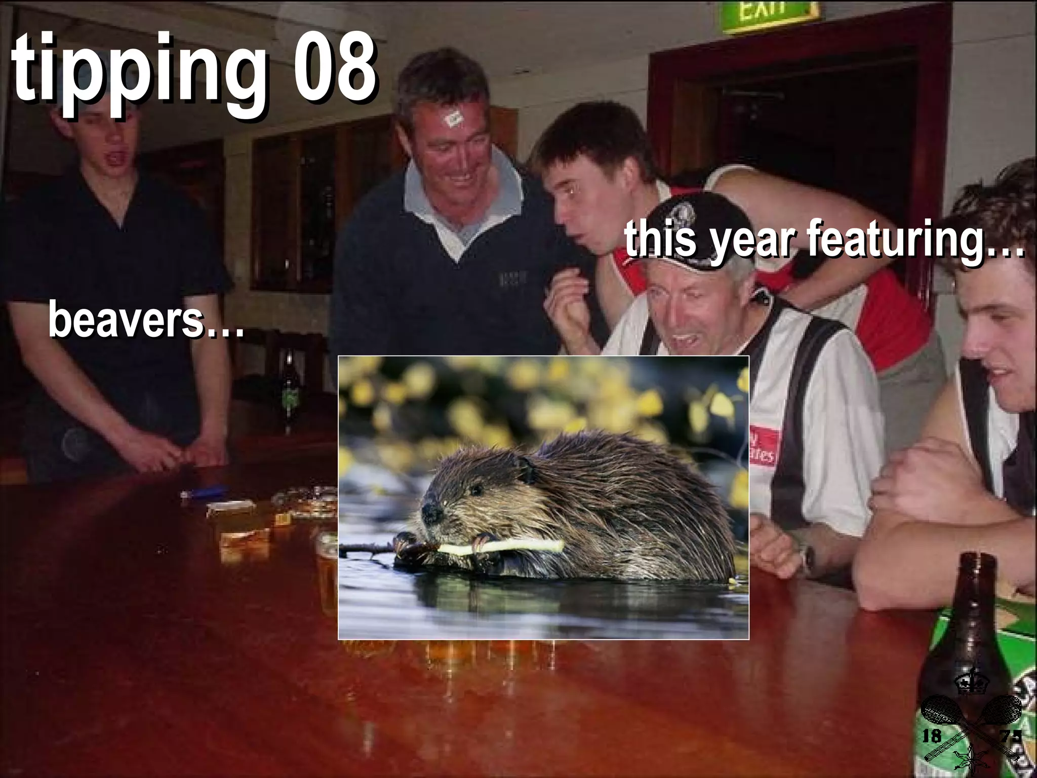 this year featuring… tipping 08 beavers…