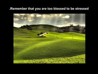 Remember that you are too blessed to be stressed. 