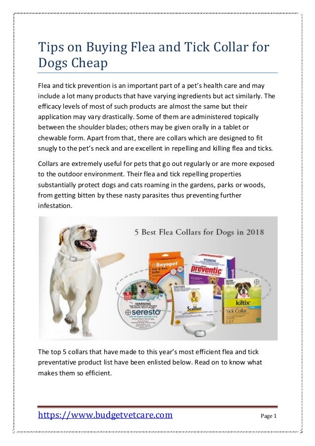 best cheap flea and tick for dogs