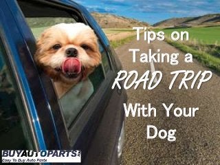 Tips on
Taking a
ROAD TRIP
With Your
Dog
 