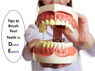 Tips to
Brush
Your
Teeth By
Dental
Experts
 