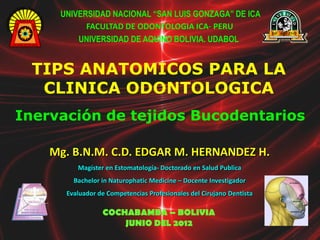 UNIVERSIDAD NACIONAL “SAN LUIS GONZAGA” DE ICA
           FACULTAD DE ODONTOLOGIA ICA- PERU
         UNIVERSIDAD DE AQUINO BOLIVIA. UDABOL


  TIPS ANATOMICOS PARA LA
   CLINICA ODONTOLOGICA
Inervación de tejidos Bucodentarios

    Mg. B.N.M. C.D. EDGAR M. HERNANDEZ H.
         Magíster en Estomatología- Doctorado en Salud Publica
        Bachelor in Naturophatic Medicine – Docente Investigador
      Evaluador de Competencias Profesionales del Cirujano Dentista

                 COCHABAMBA – BOLIVIA
                     JUNIO DEL 2012
 