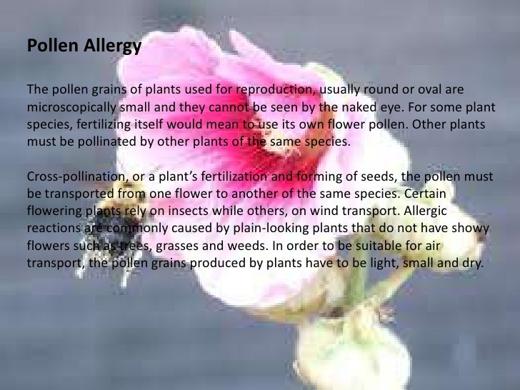 Tips and guide for allergy sufferers