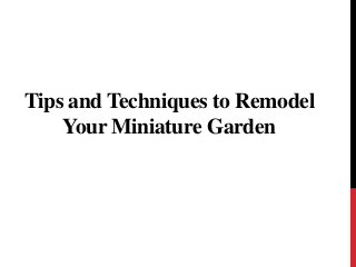 Tips and Techniques to Remodel
Your Miniature Garden
 