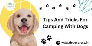 Tips And Tricks For
Camping With Dogs
www.dogexpress.in
 