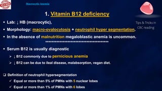 Sum up
Macrocytic Anemia
Tips & Tricks in
CBC reading
1. ↓ B12 level (macro-ovalocytosis + neutrophil hyper segmentation)
...