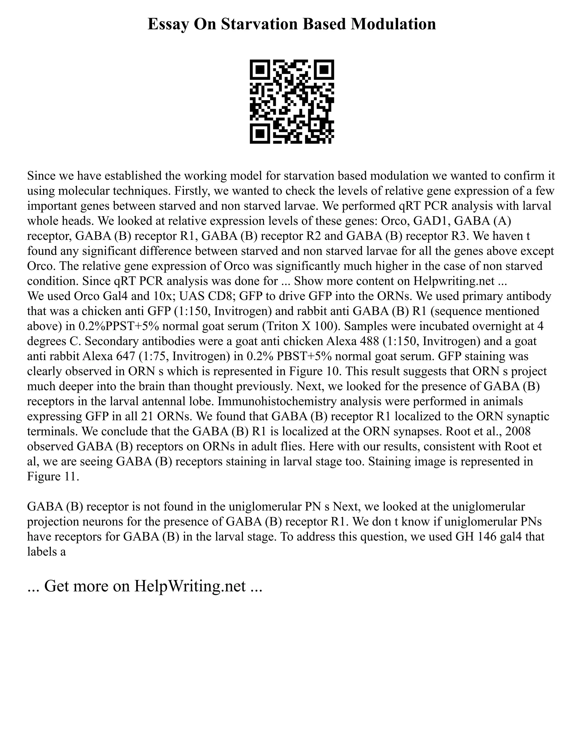 Essay On Starvation Based Modulation
Since we have established the working model for starvation based modulation we wanted to confirm it
using molecular techniques. Firstly, we wanted to check the levels of relative gene expression of a few
important genes between starved and non starved larvae. We performed qRT PCR analysis with larval
whole heads. We looked at relative expression levels of these genes: Orco, GAD1, GABA (A)
receptor, GABA (B) receptor R1, GABA (B) receptor R2 and GABA (B) receptor R3. We haven t
found any significant difference between starved and non starved larvae for all the genes above except
Orco. The relative gene expression of Orco was significantly much higher in the case of non starved
condition. Since qRT PCR analysis was done for ... Show more content on Helpwriting.net ...
We used Orco Gal4 and 10x; UAS CD8; GFP to drive GFP into the ORNs. We used primary antibody
that was a chicken anti GFP (1:150, Invitrogen) and rabbit anti GABA (B) R1 (sequence mentioned
above) in 0.2%PPST+5% normal goat serum (Triton X 100). Samples were incubated overnight at 4
degrees C. Secondary antibodies were a goat anti chicken Alexa 488 (1:150, Invitrogen) and a goat
anti rabbit Alexa 647 (1:75, Invitrogen) in 0.2% PBST+5% normal goat serum. GFP staining was
clearly observed in ORN s which is represented in Figure 10. This result suggests that ORN s project
much deeper into the brain than thought previously. Next, we looked for the presence of GABA (B)
receptors in the larval antennal lobe. Immunohistochemistry analysis were performed in animals
expressing GFP in all 21 ORNs. We found that GABA (B) receptor R1 localized to the ORN synaptic
terminals. We conclude that the GABA (B) R1 is localized at the ORN synapses. Root et al., 2008
observed GABA (B) receptors on ORNs in adult flies. Here with our results, consistent with Root et
al, we are seeing GABA (B) receptors staining in larval stage too. Staining image is represented in
Figure 11.
GABA (B) receptor is not found in the uniglomerular PN s Next, we looked at the uniglomerular
projection neurons for the presence of GABA (B) receptor R1. We don t know if uniglomerular PNs
have receptors for GABA (B) in the larval stage. To address this question, we used GH 146 gal4 that
labels a
... Get more on HelpWriting.net ...
 