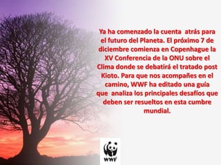 Ya ha comenzado la cuenta  atrás para el futuro del Planeta. El próximo 7 de diciembre comienza en Copenhague la XV Conferencia de la ONU sobre el Clima donde se debatirá el tratado post Kioto. Para que nos acompañes en el camino, WWF ha editado una guía que  analiza los principales desafíos que deben ser resueltos en esta cumbre mundial.  