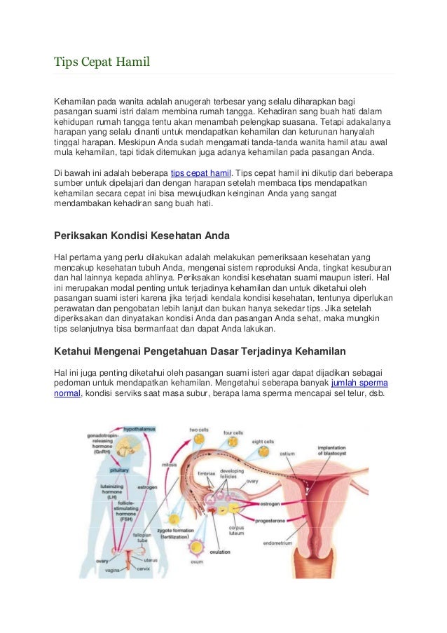 Tips Cepat Hamil