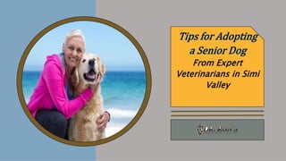 From Expert
Veterinarians in Simi
Valley
 