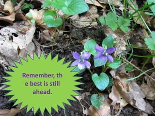 Tips For Better Life