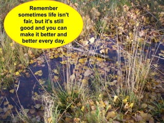 Tips For Better Life