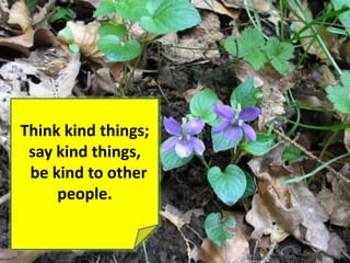 Tips For Better Life