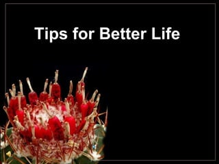 Tips for Better Life  