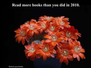 Rebutia poecilantha Read more books than you did in 2010.   