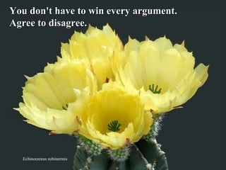 Echinocereus subinermis You don't have to win every argument.  Agree to disagree.  