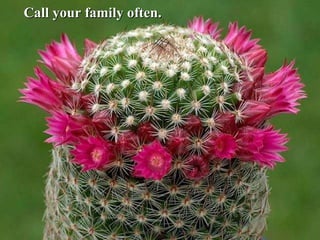 Call your family often.   