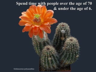 Spend time with people over the age of 70
                     & under the age of 6.




Echinocereus polyacanthus
 