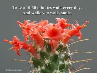 Take a 10-30 minutes walk every day.
            And while you walk, smile.




Cochemiea poselgeri
 