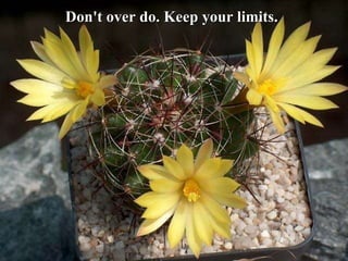 Don't over do. Keep your limits.  